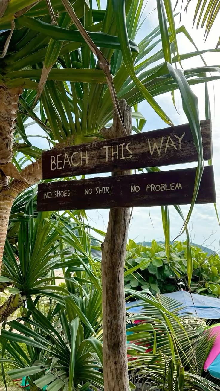 Goa Honeymoon Getaway - Image 4
