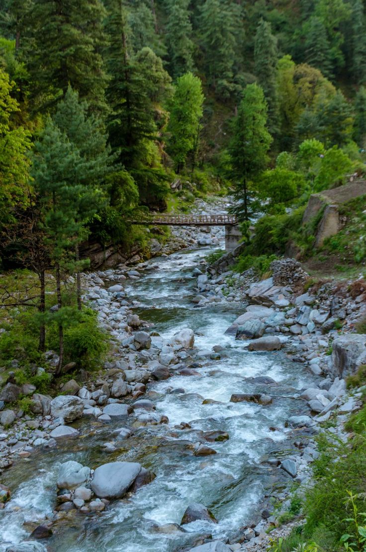munchi arunachal pradesh