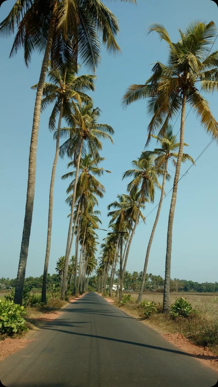 Goa Honeymoon Getaway - Image 5
